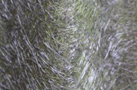 Channerwick fibreglass roof work